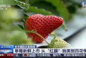 草莓国产视频,探寻本土草莓种植的魅力与风采